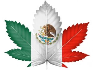 Mexican Congress Approves Use of Medical Marijuana