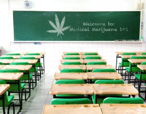 Education-for-weed