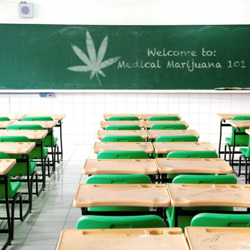 Education-for-weed