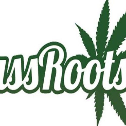 Top-Cannabis-Stock-To-Watch-MassRoots-Inc.-Makes-Big-Moves-With-Blockchain-Shares-Up-25-678x381