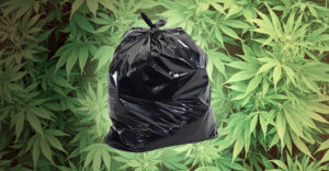 giant-bags-of-weed