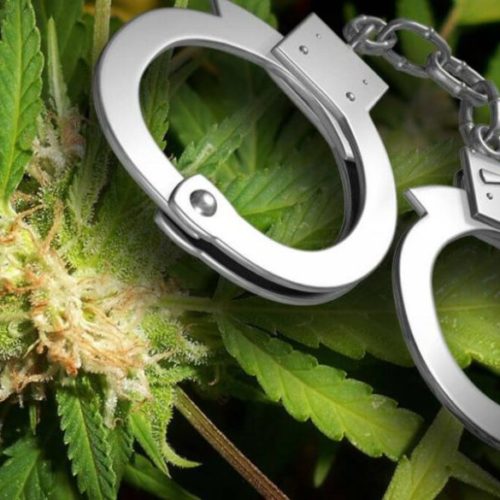 weed arrest