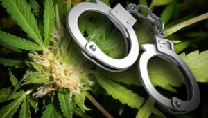 Cannabis Arrest Increase Despite Legalization