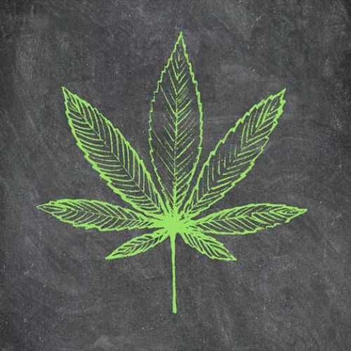 box-cannabis-education