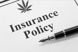 Insurance Policy