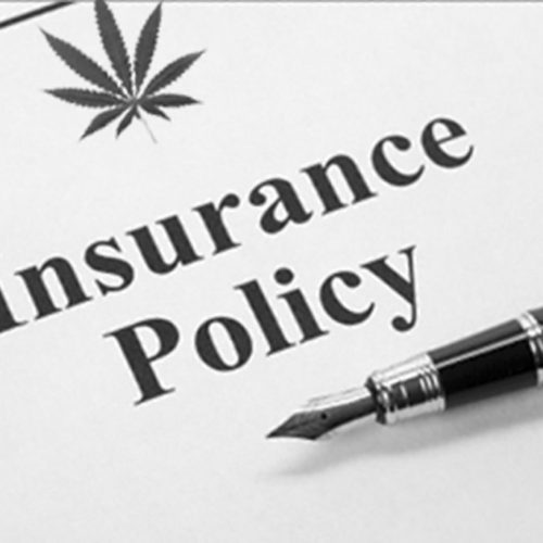 Insurance Policy