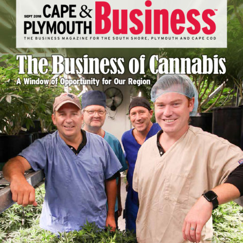 Cape & Plymouth Business