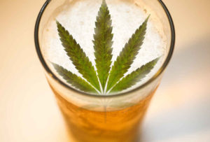 Cannabis-Infused beer