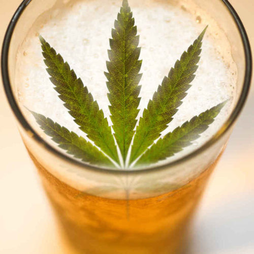 Cannabis-Infused beer