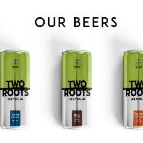 Two Roots Brewing Co.