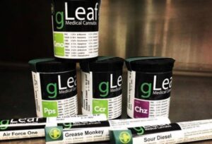 Green Leaf Medical Reports $9 Million in Sales and Announces $20 Million Raise for Expansion