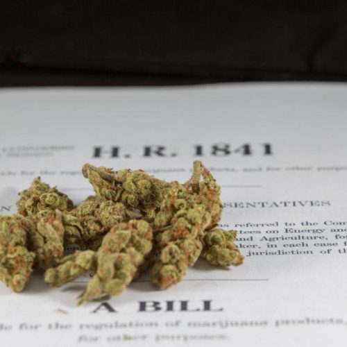 The Marijuana Justice Act