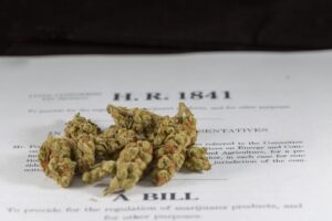 The Marijuana Justice Act Introduced In Both Chambers Of Congress