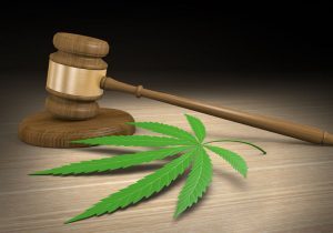 Theft and the Cannabis Industry: How to Protect Your Business