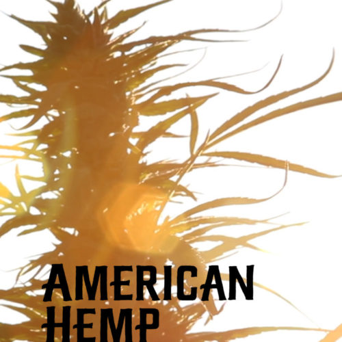 American Hemp