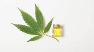 And the Winner Is: CBD More Popular Than Beyonce and Kim Kardashian