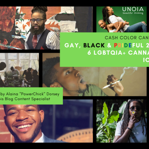 gay black pride 2020 in cannabis collage