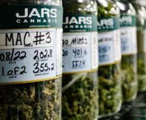 JARS Cannabis