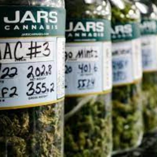 JARS Cannabis