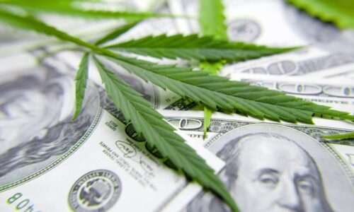 New York Launches Cannabis Banking Directory