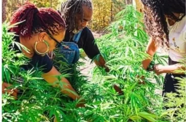 Alisha Edwards, BVFA