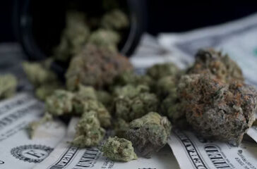 ca-mj-money-397678117.ixtkJtlMP6