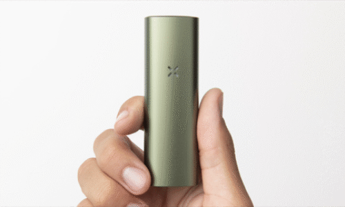 Pax mini