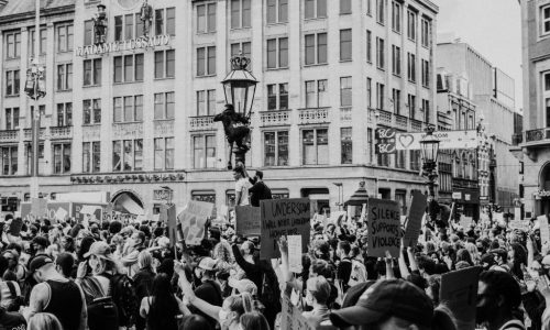 pexels-pluyar-4561556