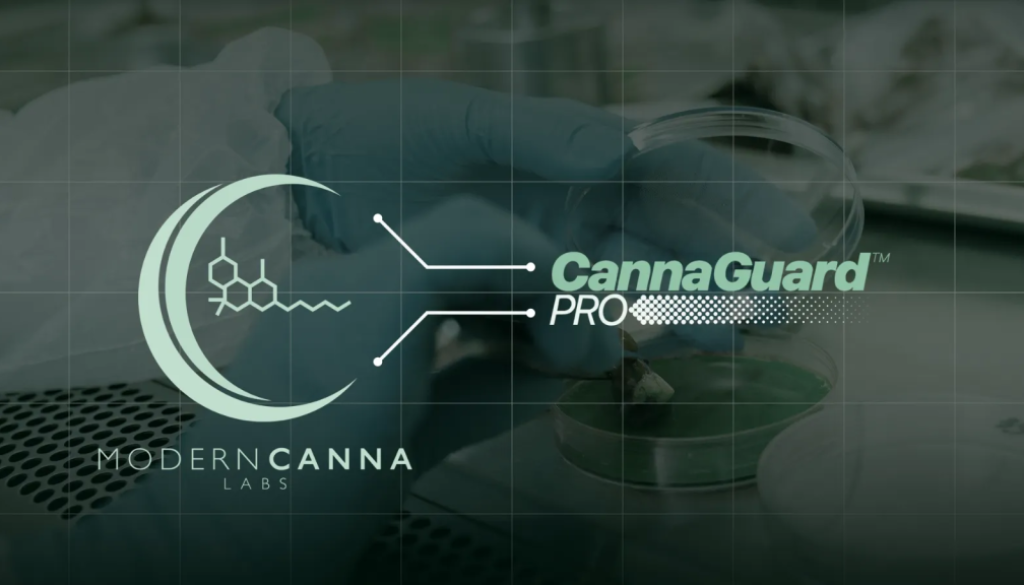 Modern Canna