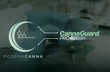 Modern Canna