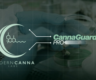Modern Canna