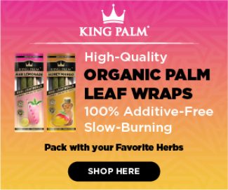 King Palm 3