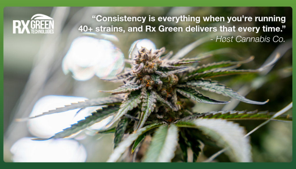 Feature Image RX Green 9_1_26 (1)