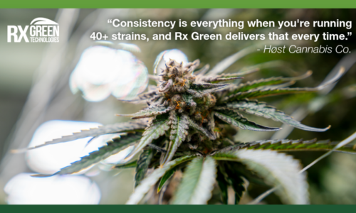 Feature Image RX Green 9_1_26 (1)
