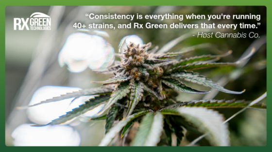Feature Image RX Green 9_1_26 (1)
