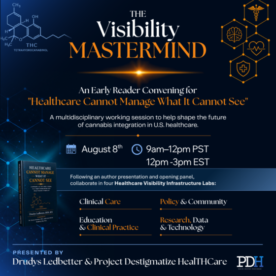 The Visibility Mastermind Promo Graphic - The Visibility Mastermind _Promo 1